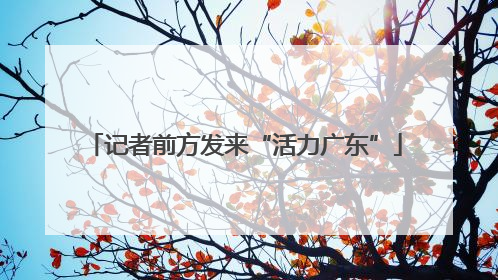记者前方发来“活力广东”