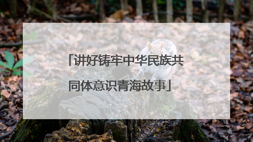 讲好铸牢中华民族共同体意识青海故事