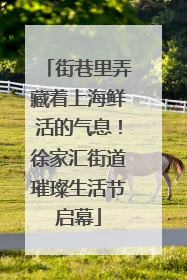街巷里弄藏着上海鲜活的气息！徐家汇街道璀璨生活节启幕