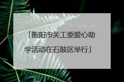 衡阳市关工委爱心助学活动在石鼓区举行