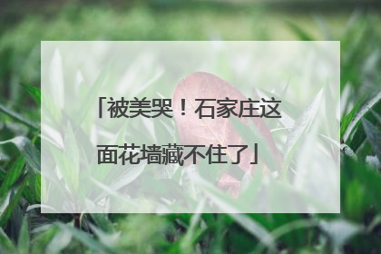 被美哭！石家庄这面花墙藏不住了