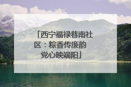 西宁福禄巷南社区：粽香传廉韵 党心映端阳