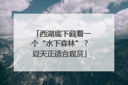 西湖底下藏着一个“水下森林”？夏天正适合观赏