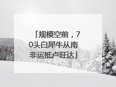 规模空前，70头白犀牛从南非运抵卢旺达