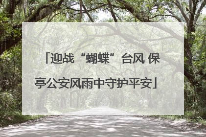 迎战“蝴蝶”台风 保亭公安风雨中守护平安