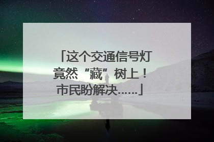 这个交通信号灯竟然“藏”树上！市民盼解决……