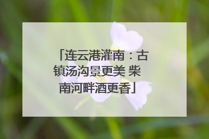 连云港灌南：古镇汤沟景更美 柴南河畔酒更香