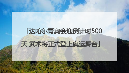 达喀尔青奥会迎倒计时500天 武术将正式登上奥运舞台