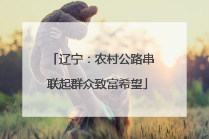辽宁：农村公路串联起群众致富希望