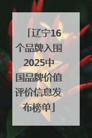 辽宁16个品牌入围2025中国品牌价值评价信息发布榜单