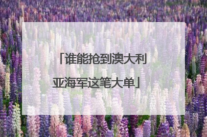 谁能抢到澳大利亚海军这笔大单