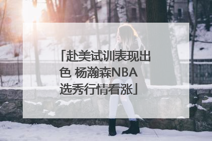 赴美试训表现出色 杨瀚森NBA选秀行情看涨