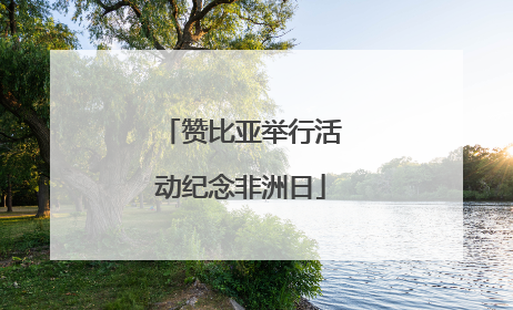 赞比亚举行活动纪念非洲日
