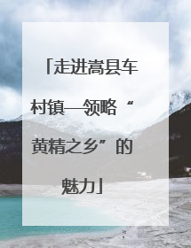 走进嵩县车村镇—领略“黄精之乡”的魅力