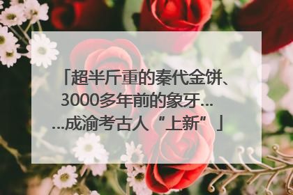 超半斤重的秦代金饼、3000多年前的象牙……成渝考古人“上新”