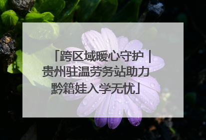 跨区域暖心守护｜贵州驻温劳务站助力黔籍娃入学无忧