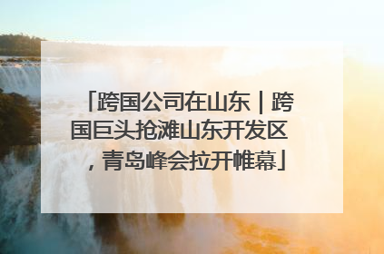 跨国公司在山东｜跨国巨头抢滩山东开发区，青岛峰会拉开帷幕