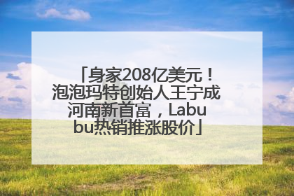 身家208亿美元！泡泡玛特创始人王宁成河南新首富，Labubu热销推涨股价