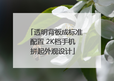 透明背板成标准配置 2K档手机拼起外观设计