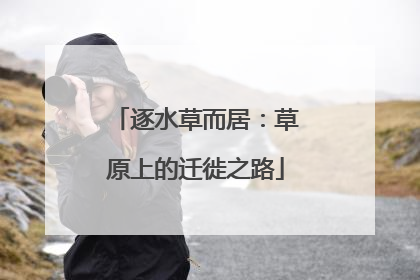 逐水草而居：草原上的迁徙之路