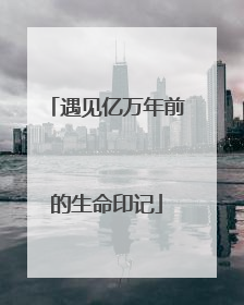 遇见亿万年前的生命印记