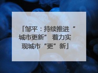 邹平：持续推进“城市更新” 着力实现城市“更”新