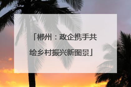 郴州：政企携手共绘乡村振兴新图景