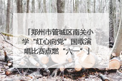 郑州市管城区南关小学“红心向党”国歌演唱比赛点燃“六一”