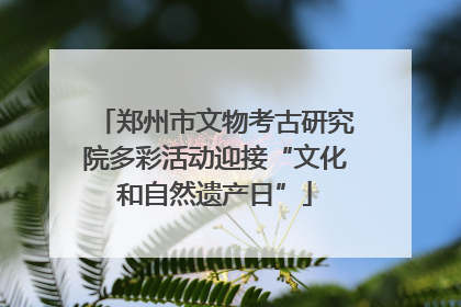 郑州市文物考古研究院多彩活动迎接“文化和自然遗产日”