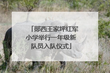 郧西王家坪红军小学举行一年级新队员入队仪式
