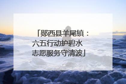 郧西县羊尾镇：六五行动护碧水 志愿服务守清波