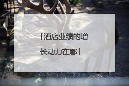 酒店业绩的增长动力在哪