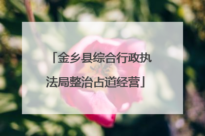 金乡县综合行政执法局整治占道经营