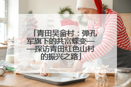青田吴畲村：弹孔军旗下的共富蝶变——探访青田红色山村的振兴之路