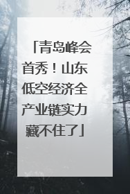 青岛峰会首秀！山东低空经济全产业链实力藏不住了