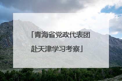 青海省党政代表团赴天津学习考察