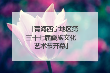 青海西宁地区第三十七届藏族文化艺术节开幕
