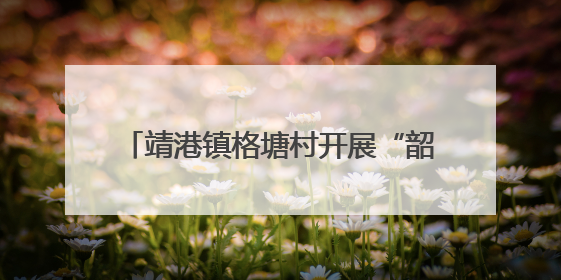 靖港镇格塘村开展“韶山红途砺党性 格塘先锋践初心”主题党日活动