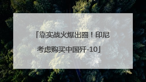 靠实战火爆出圈！印尼考虑购买中国歼-10