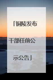铜陵发布干部任前公示公告