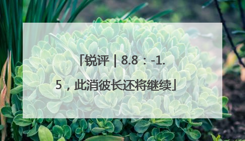 锐评｜8.8：-1.5，此消彼长还将继续
