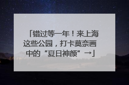 错过等一年！来上海这些公园，打卡莫奈画中的“夏日神颜”→