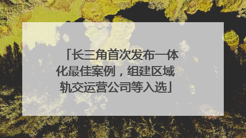 长三角首次发布一体化最佳案例，组建区域轨交运营公司等入选