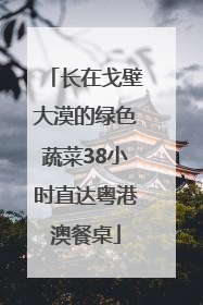 长在戈壁大漠的绿色蔬菜38小时直达粤港澳餐桌