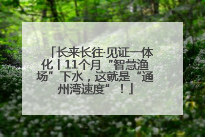 长来长往·见证一体化丨11个月“智慧渔场”下水，这就是“通州湾速度”！