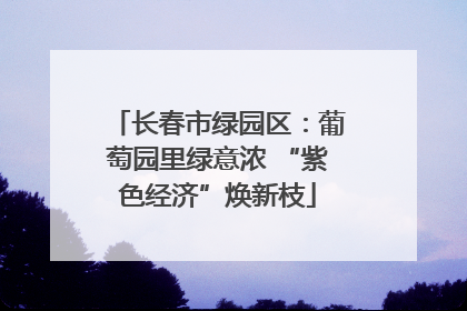 长春市绿园区：葡萄园里绿意浓 “紫色经济”焕新枝