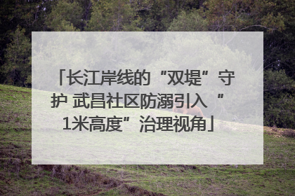长江岸线的“双堤”守护 武昌社区防溺引入“1米高度”治理视角