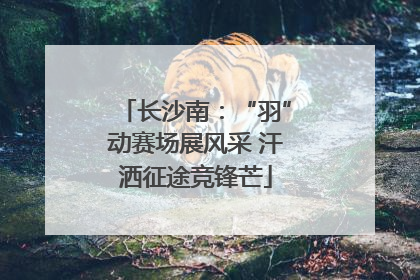 长沙南：“羽”动赛场展风采 汗洒征途竞锋芒