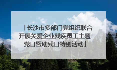 长沙市多部门党组织联合开展关爱企业残疾员工主题党日暨助残日特别活动
