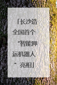 长沙造全国首个“智能押运机器人”亮相